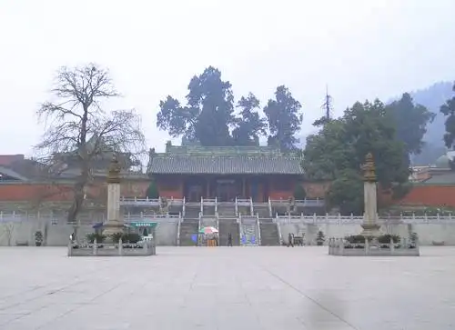 自驾游王朗，独闯熊猫领地