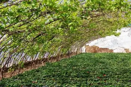 延庆冰雪节盘点精彩游乐活动