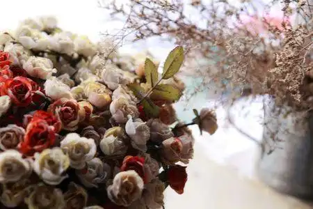 鼓浪屿慵懒旅游路线攻略