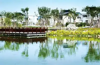 与春色同行:朱家角古镇游