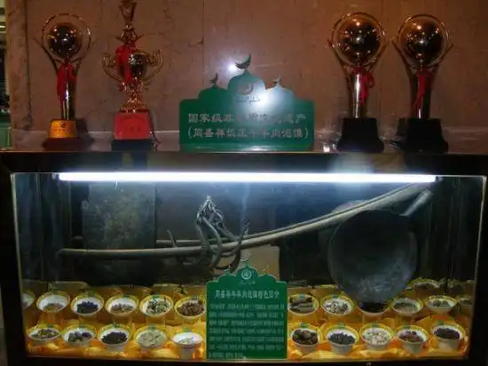 奇险天下第一峰 西岳华山攀登攻略