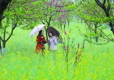 今年“三八游”转向低价线路