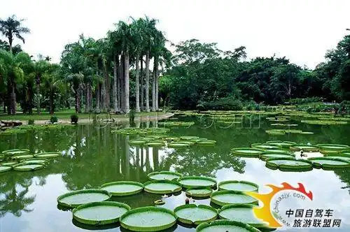 感受傣族热情 亲历神奇的乐土——西双版纳