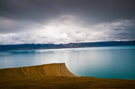 藏北高原 与野生动物亲密接触