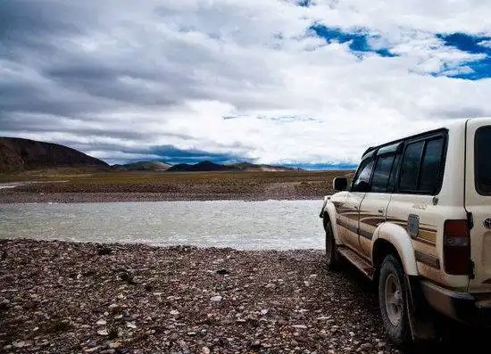 藏北高原 与野生动物亲密接触