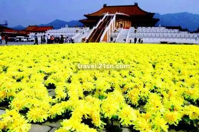 自驾横店，星梦旅程如梦似幻