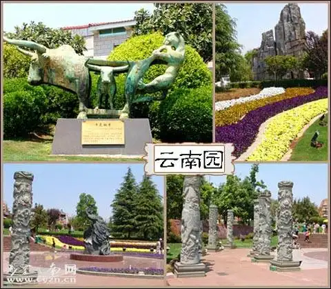 领略西部风情 自驾也疯狂