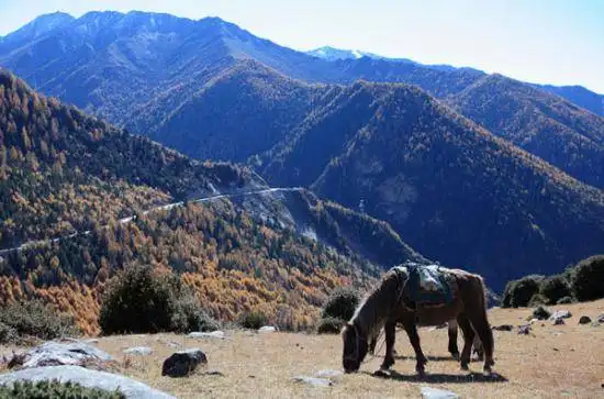 终年银装素裹 如同白衣仙女 四姑娘山自助登山