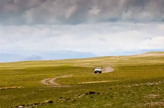 藏北高原 与野生动物亲密接触