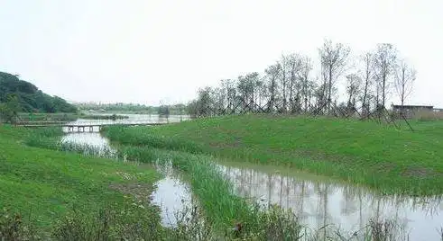 自驾游 长三角湿地全攻略