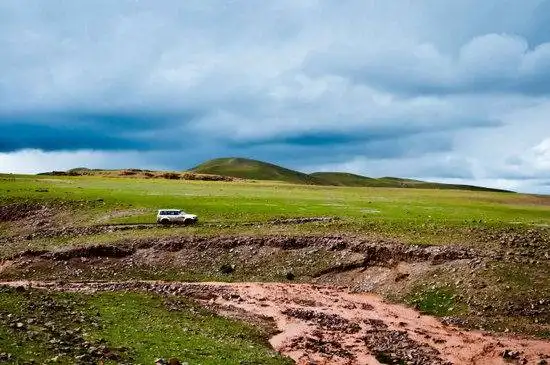 藏北高原 与野生动物亲密接触