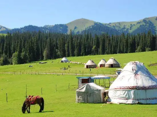 天下任我行　五大经典自驾线路推荐