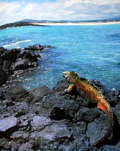 十大邮轮线路推荐