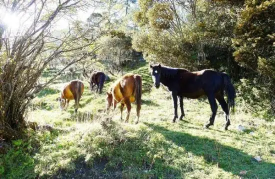 终年银装素裹 如同白衣仙女 四姑娘山自助登山