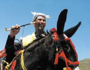 2008换种玩法过个不同年(图)