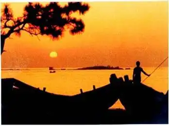 2008年360自驾车俱乐部带你去赶海