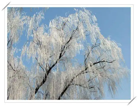 满满当当的天津自驾一日游