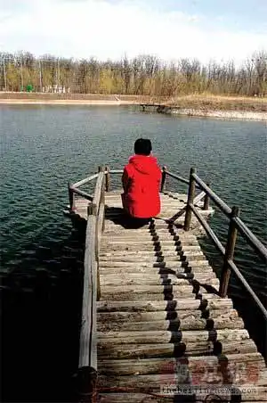 周末找一片林地露营