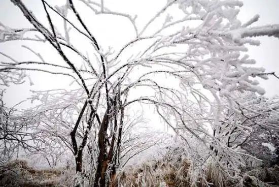 美丽峨眉山冬景迷人 峨眉山冬季旅游超强攻略