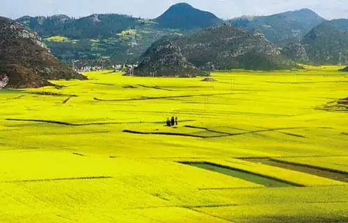 春节出游!三条自驾游线路