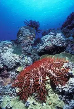 十大邮轮线路推荐