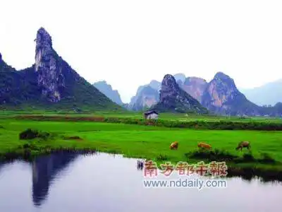 明媚三月骑自行车去旅行