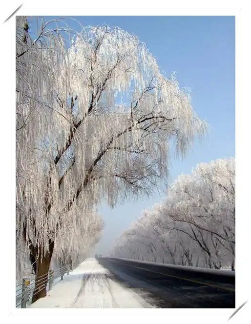 满满当当的天津自驾一日游