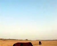 周末找一片林地露营