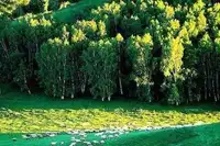 十大经典自驾旅游路线推荐