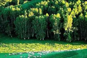 十大经典自驾旅游路线推荐