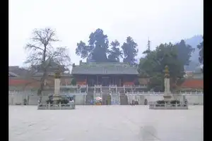 自驾游王朗，独闯熊猫领地