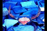 自驾青藏高原　行走着感动着