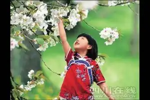 赏花绣年画 绵竹推出两条震后旅游线路