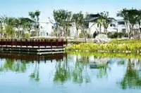 与春色同行:朱家角古镇游