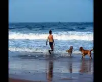 2008年360自驾车俱乐部带你去赶海