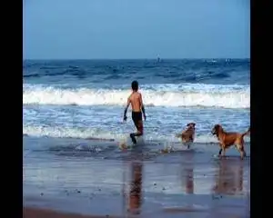 2008年360自驾车俱乐部带你去赶海