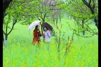 今年“三八游”转向低价线路