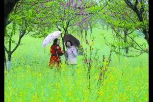 今年“三八游”转向低价线路