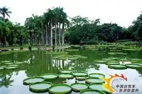 感受傣族热情 亲历神奇的乐土——西双版纳