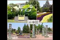 领略西部风情 自驾也疯狂