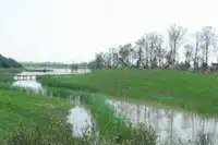 自驾游 长三角湿地全攻略