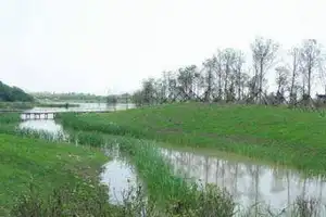 自驾游 长三角湿地全攻略