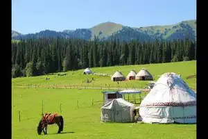 天下任我行　五大经典自驾线路推荐