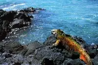 十大邮轮线路推荐