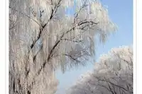 满满当当的天津自驾一日游