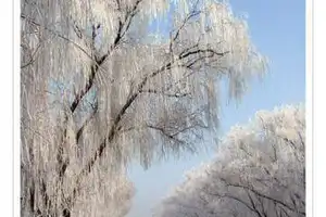 满满当当的天津自驾一日游