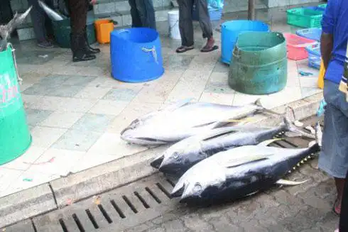 世界上最小最挤的首都-马累