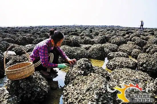 新生派高速公路 带你畅快(组图)