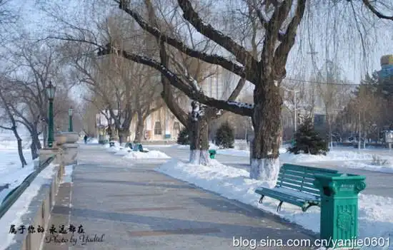 零下20度的浪漫 哈尔滨二日游全攻略