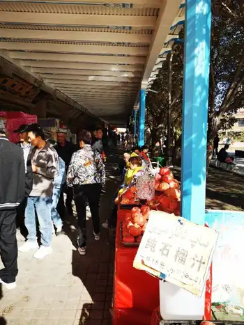 新疆鲜榨石榴汁